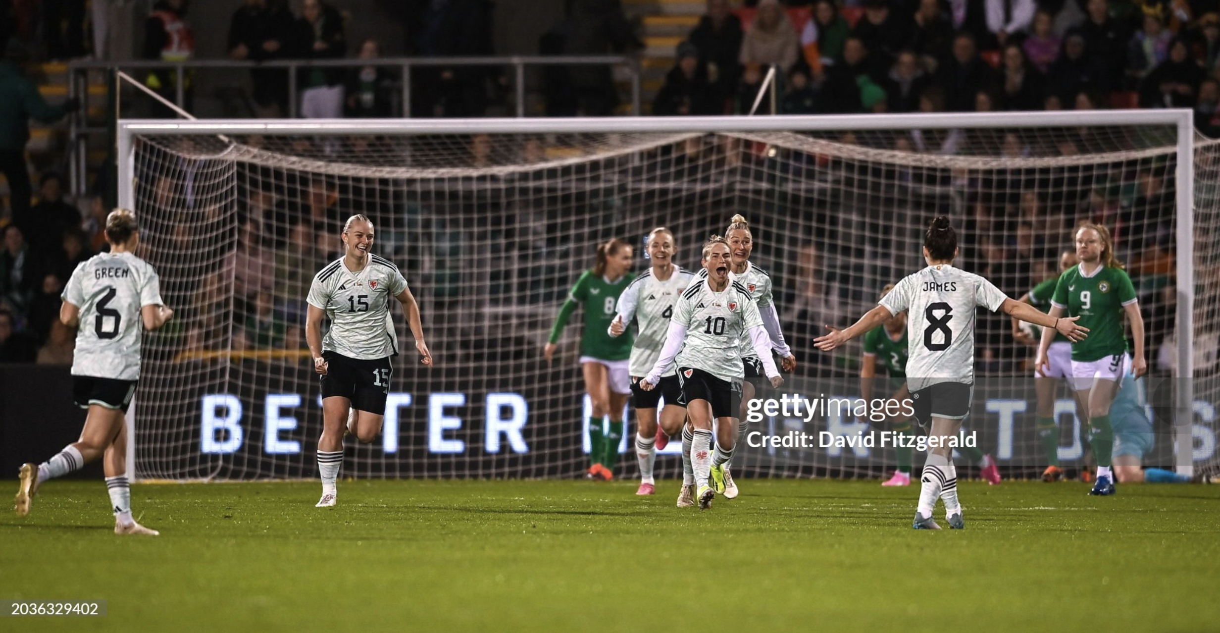 Republic of Ireland 0-2 Wales: An emphatic performance from Cymru saw the Girls in Green bow out in Tallaght