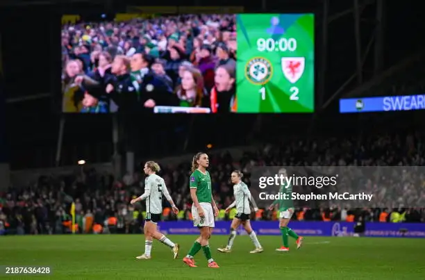 ‘Devastated’ Ireland players reflect on a heartbreaking night in Dublin