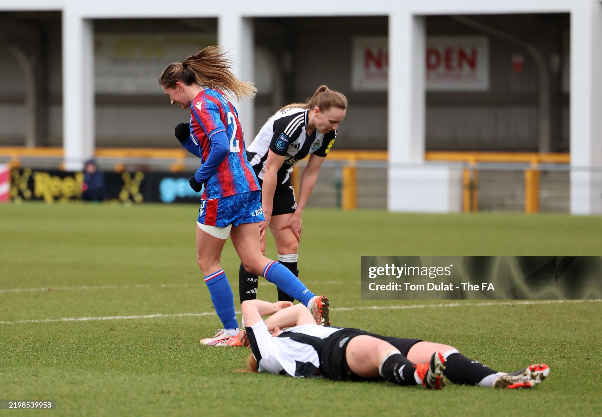 Crystal Palace 2-0 Newcastle: Eagles complete late overtake of Magpies and book their ticket to FA Cup quarter-final